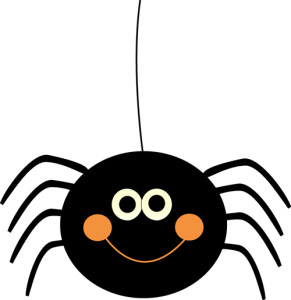 spider