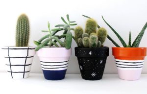 painted terracotta pots_cropped